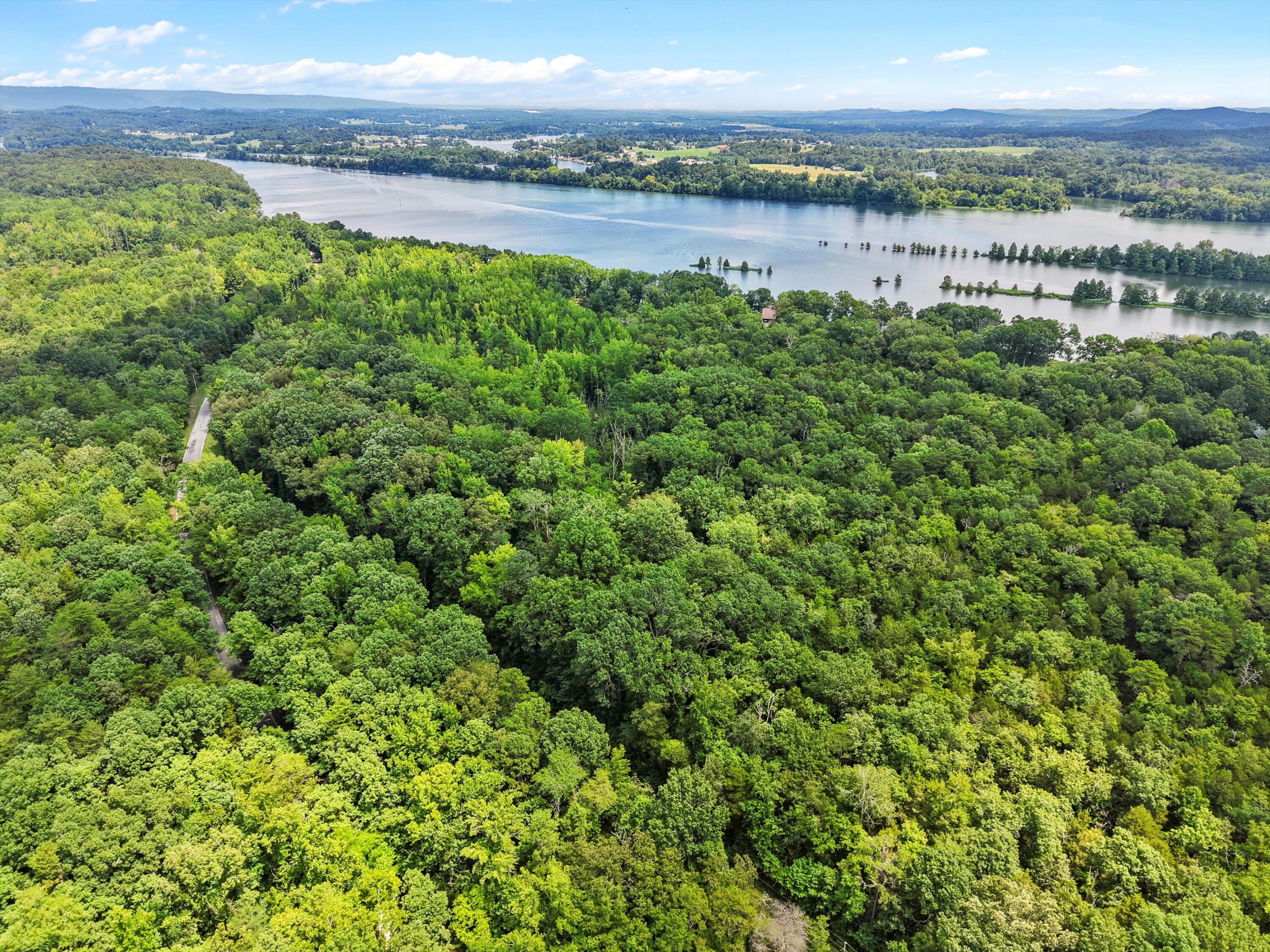 Lot 23 Warren Lane Decatur, TN 37322 - Photo 4 of 12 05-DJI_20250723125452_0266_D