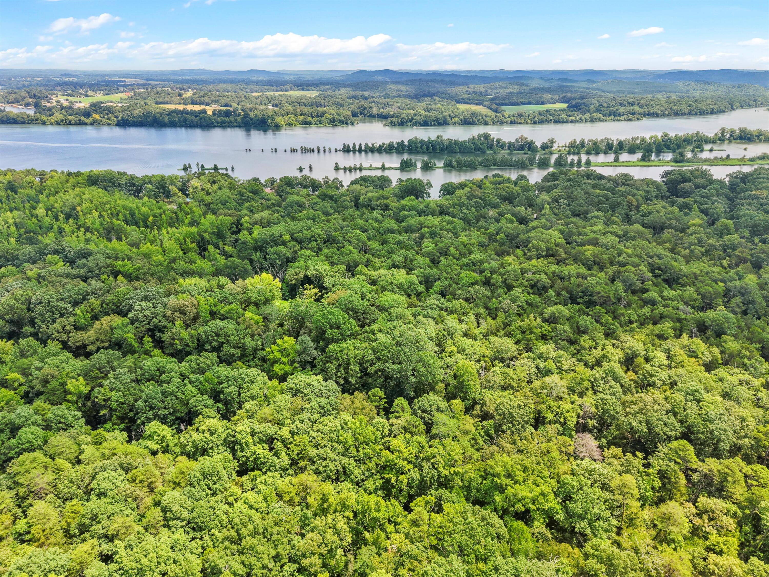 Lot 23 Warren Lane Decatur, TN 37322 - Photo 5 of 12 06-DJI_20250723125517_0271_D