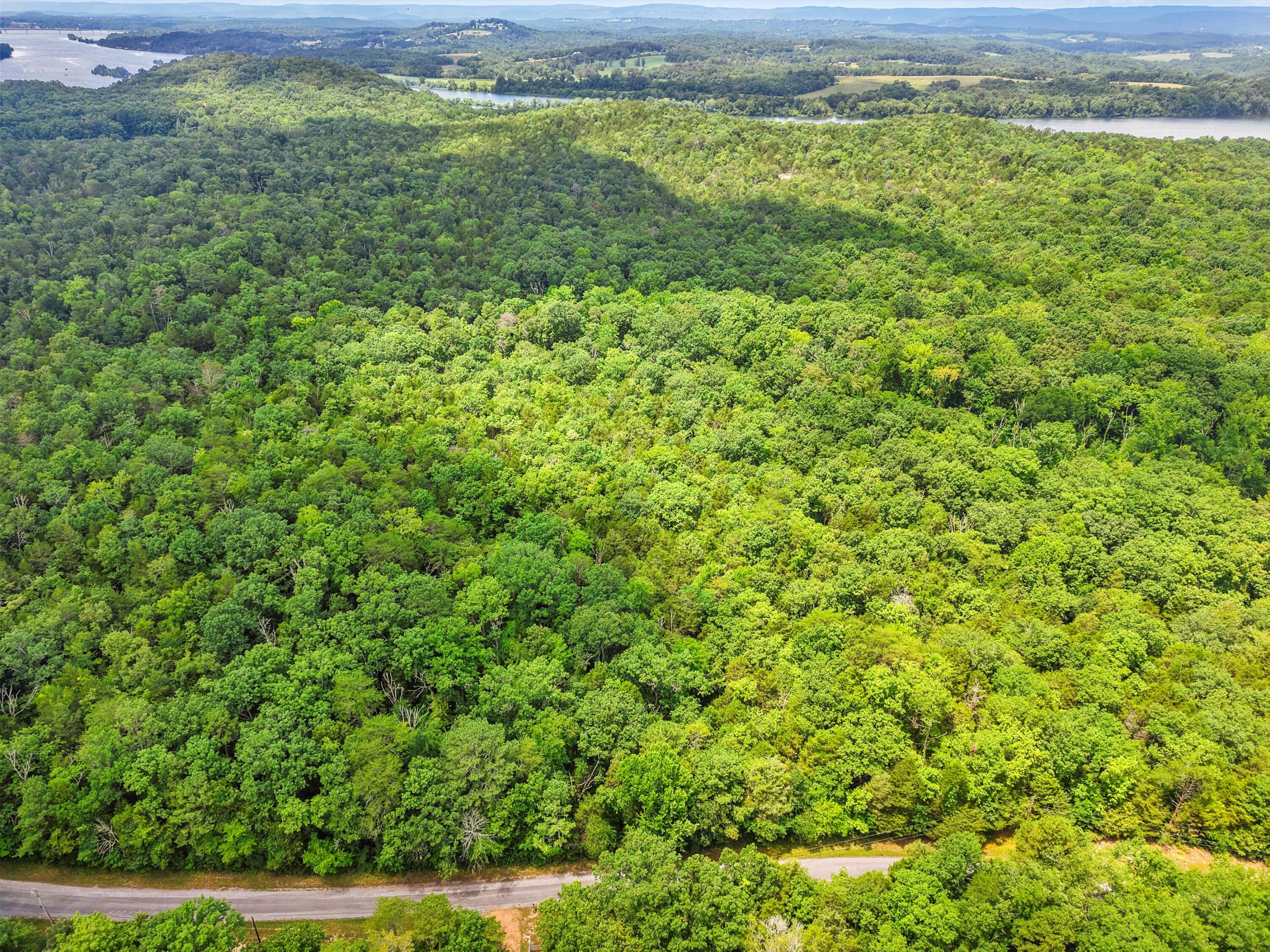 Lot 23 Warren Lane Decatur, TN 37322 - Photo 9 of 12 15-DJI_20250723130814_0318_D