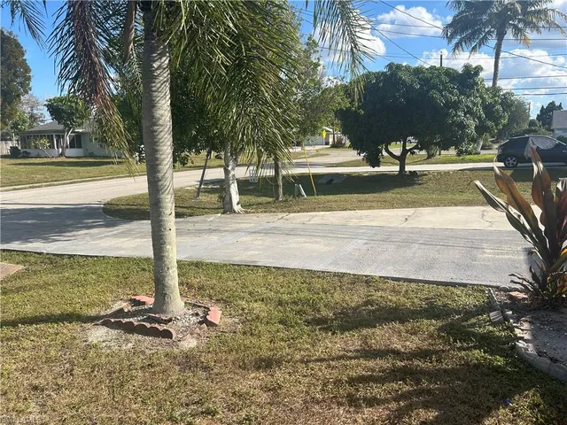 a view of a yard with palm tree