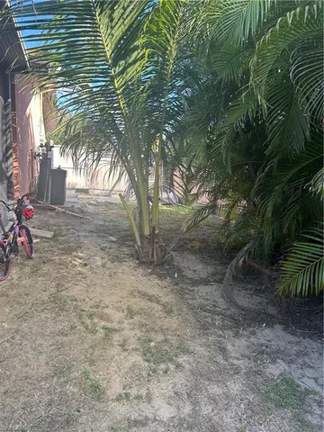 a view of a yard with plants and trees
