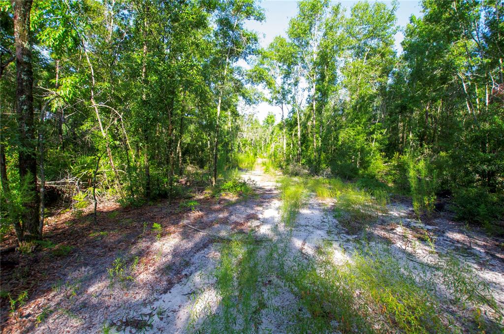 18233 185th Road Live Oak, FL 32060 - Photo 83 of 99