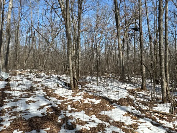 $70,000 | 27-xx 11th Avenue, Chetek, WI 54728