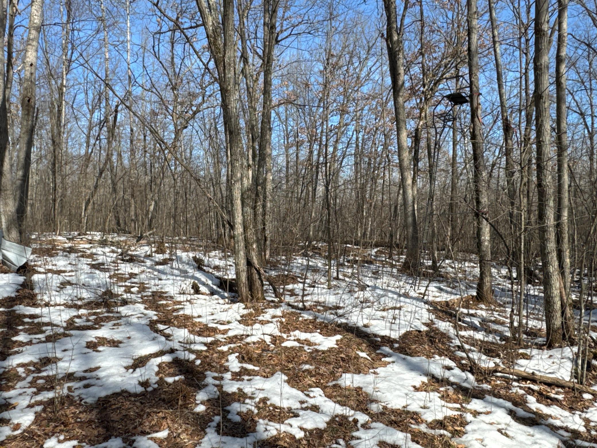 27-xx 11th Avenue Chetek, WI 54728 - Photo 11 of 25