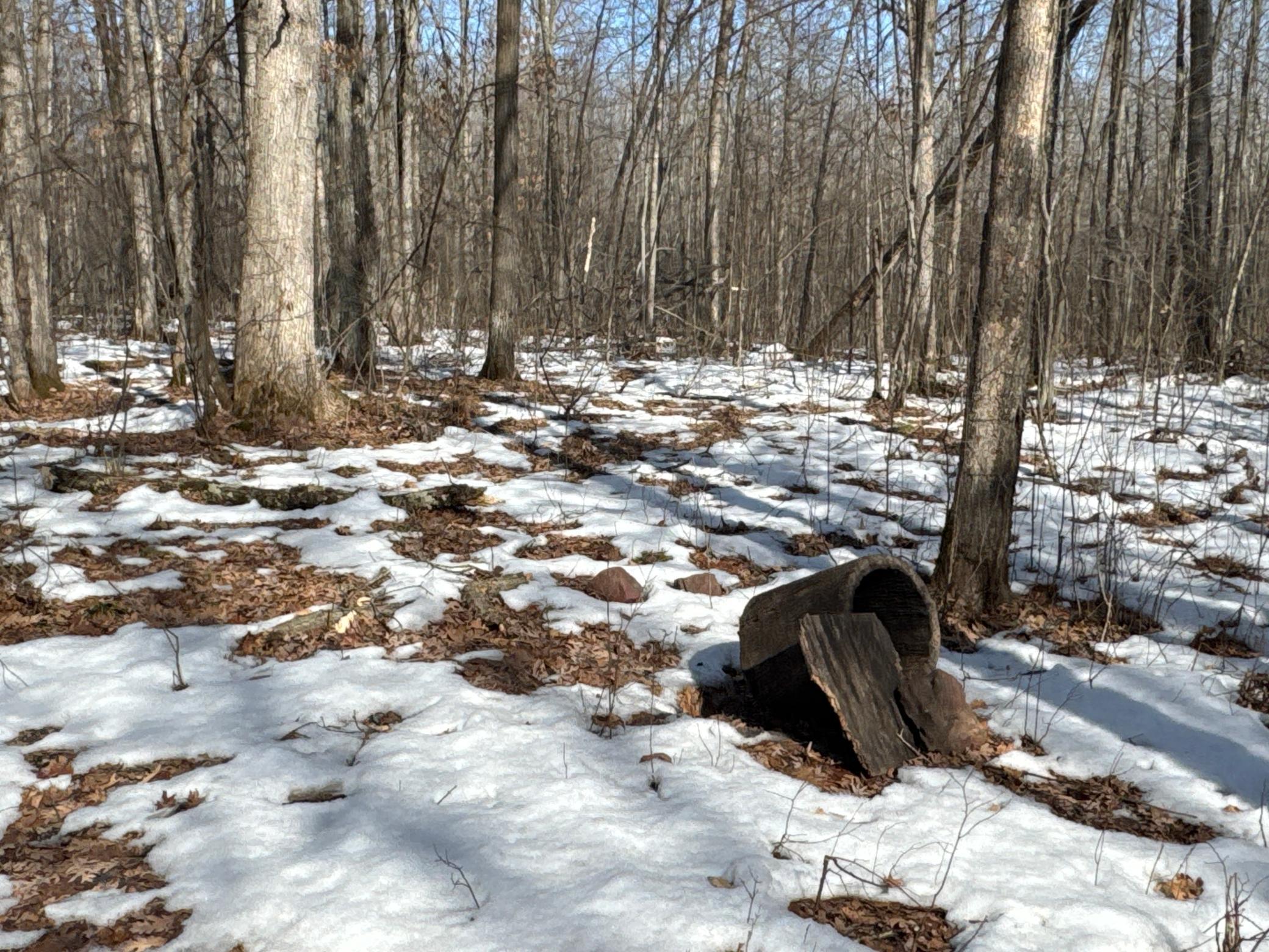 27-xx 11th Avenue Chetek, WI 54728 - Photo 13 of 25