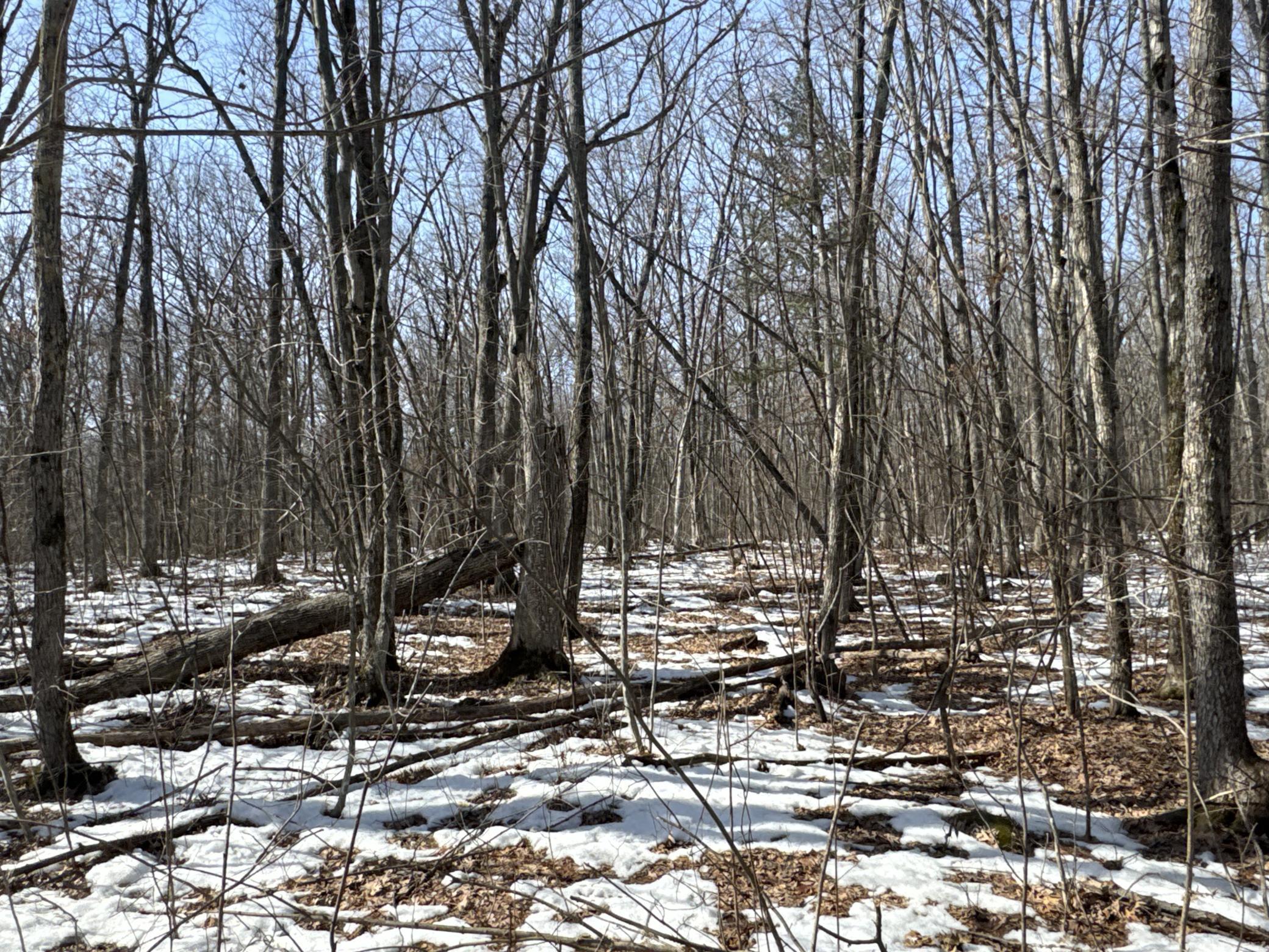 27-xx 11th Avenue Chetek, WI 54728 - Photo 15 of 25