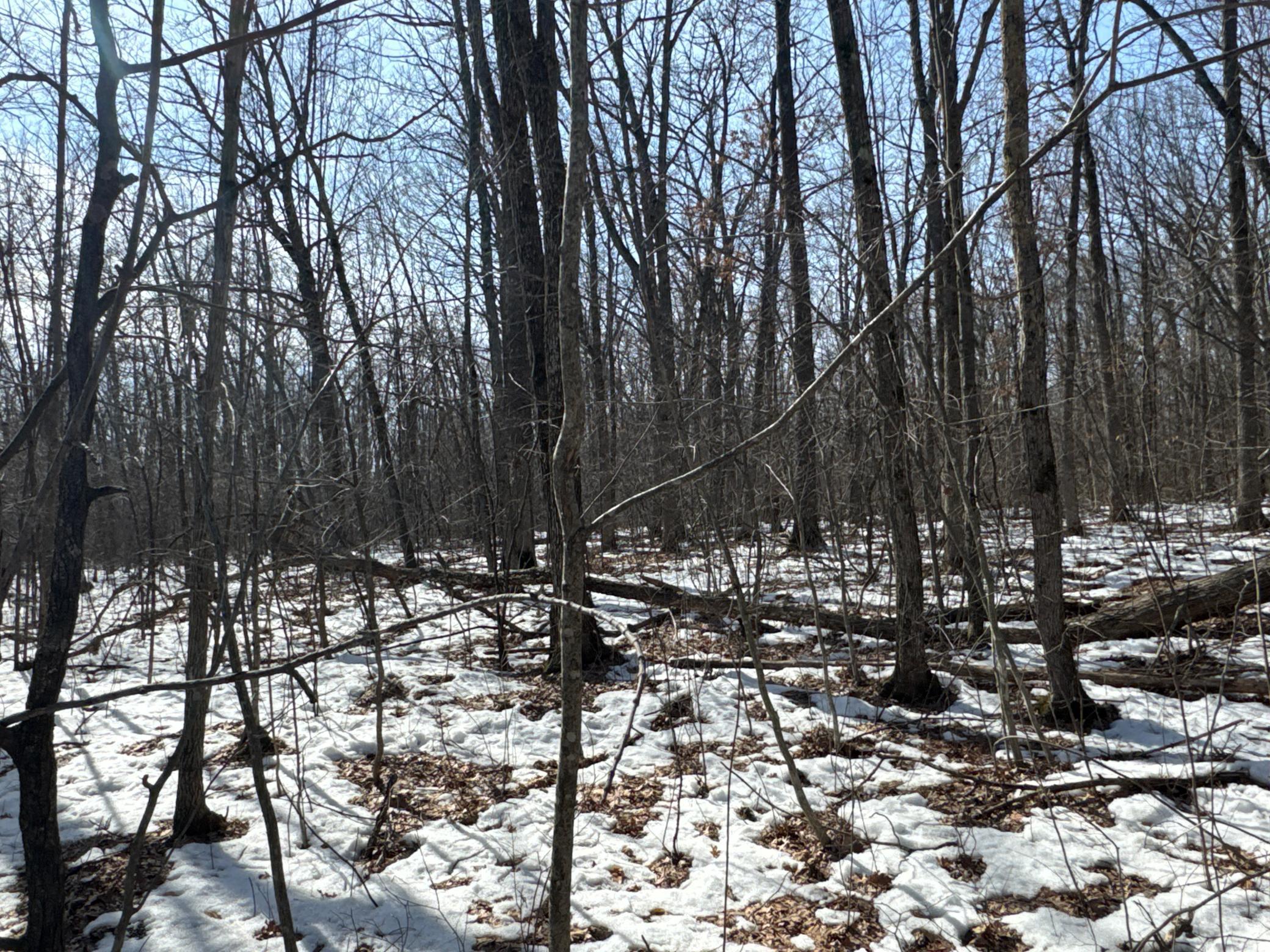 27-xx 11th Avenue Chetek, WI 54728 - Photo 16 of 25