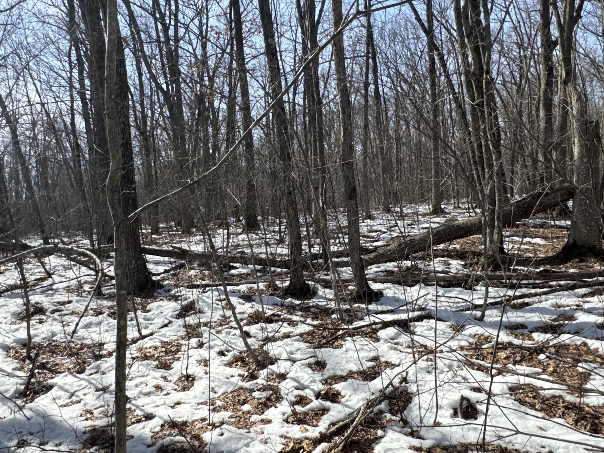 27-xx 11th Avenue Chetek, WI 54728 - Photo 17 of 25