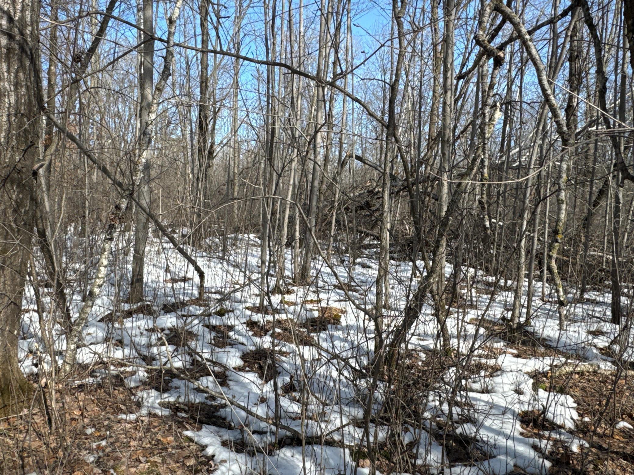 27-xx 11th Avenue Chetek, WI 54728 - Photo 18 of 25