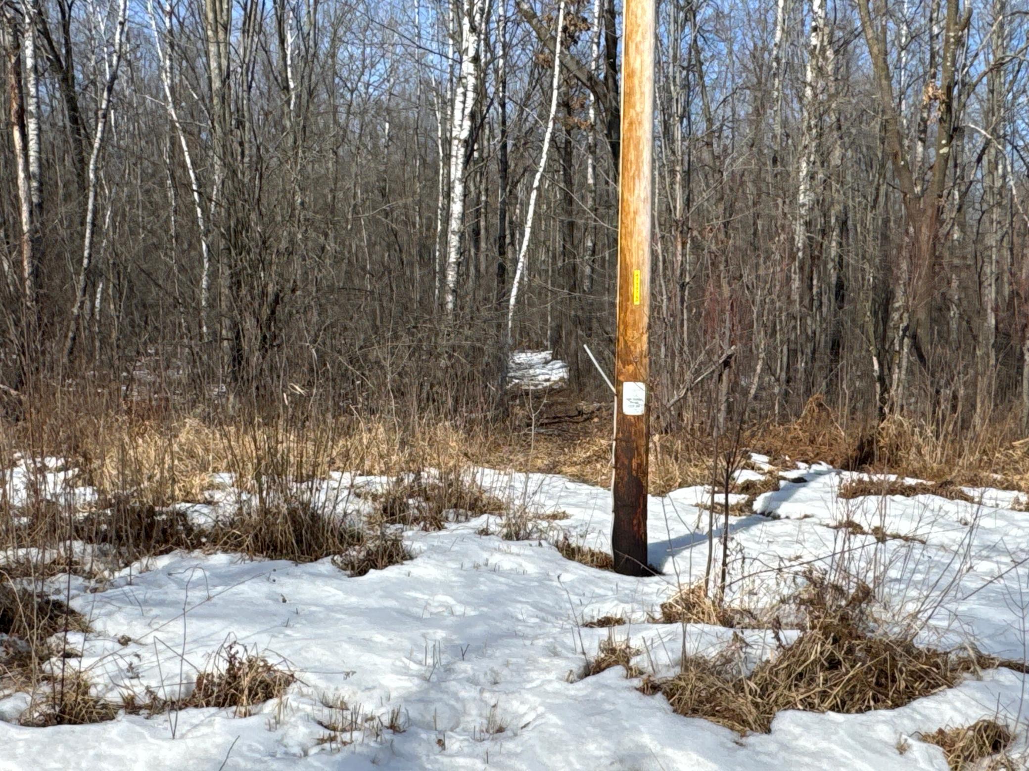 27-xx 11th Avenue Chetek, WI 54728 - Photo 19 of 25