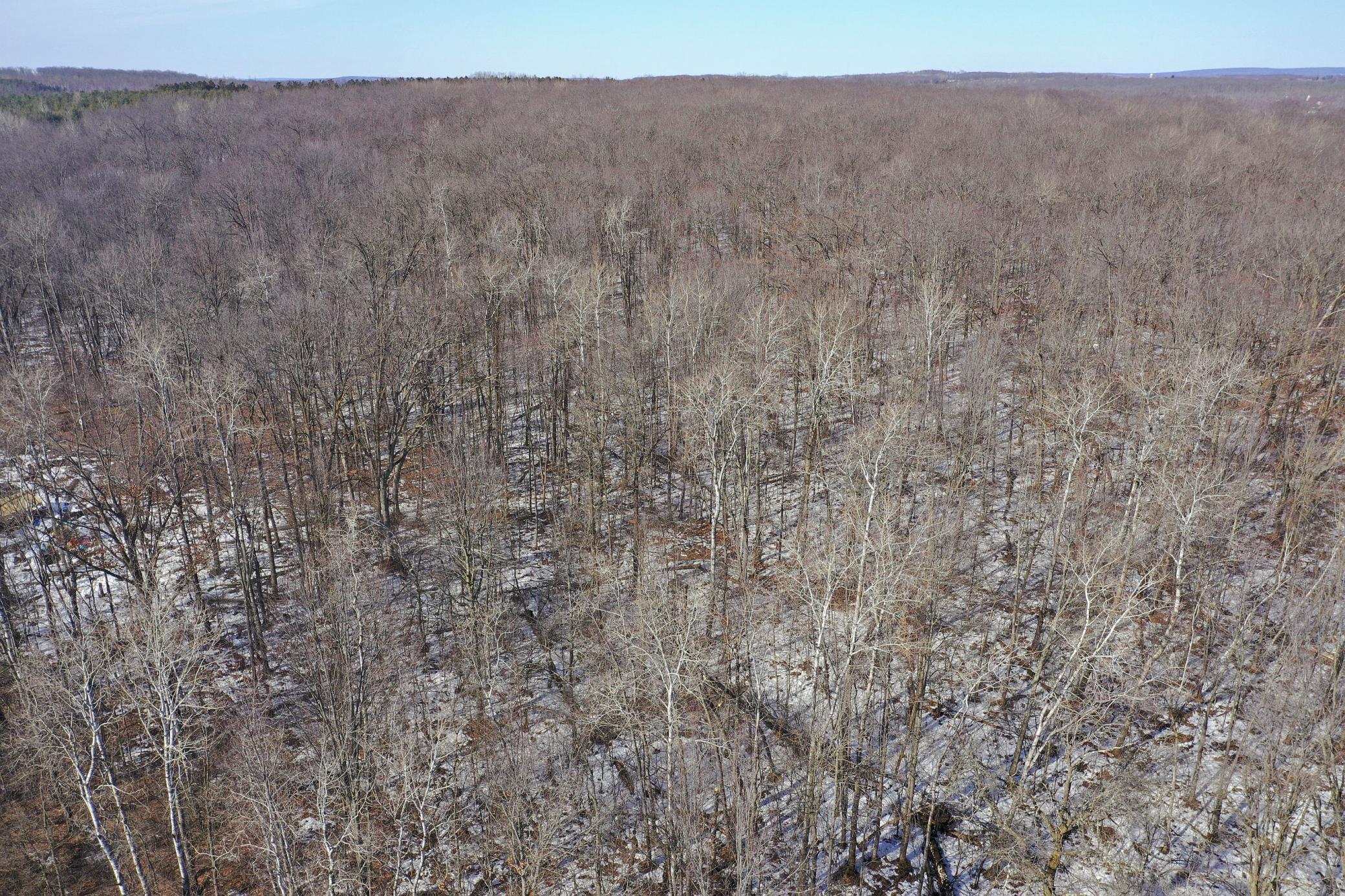 27-xx 11th Avenue Chetek, WI 54728 - Photo 20 of 25