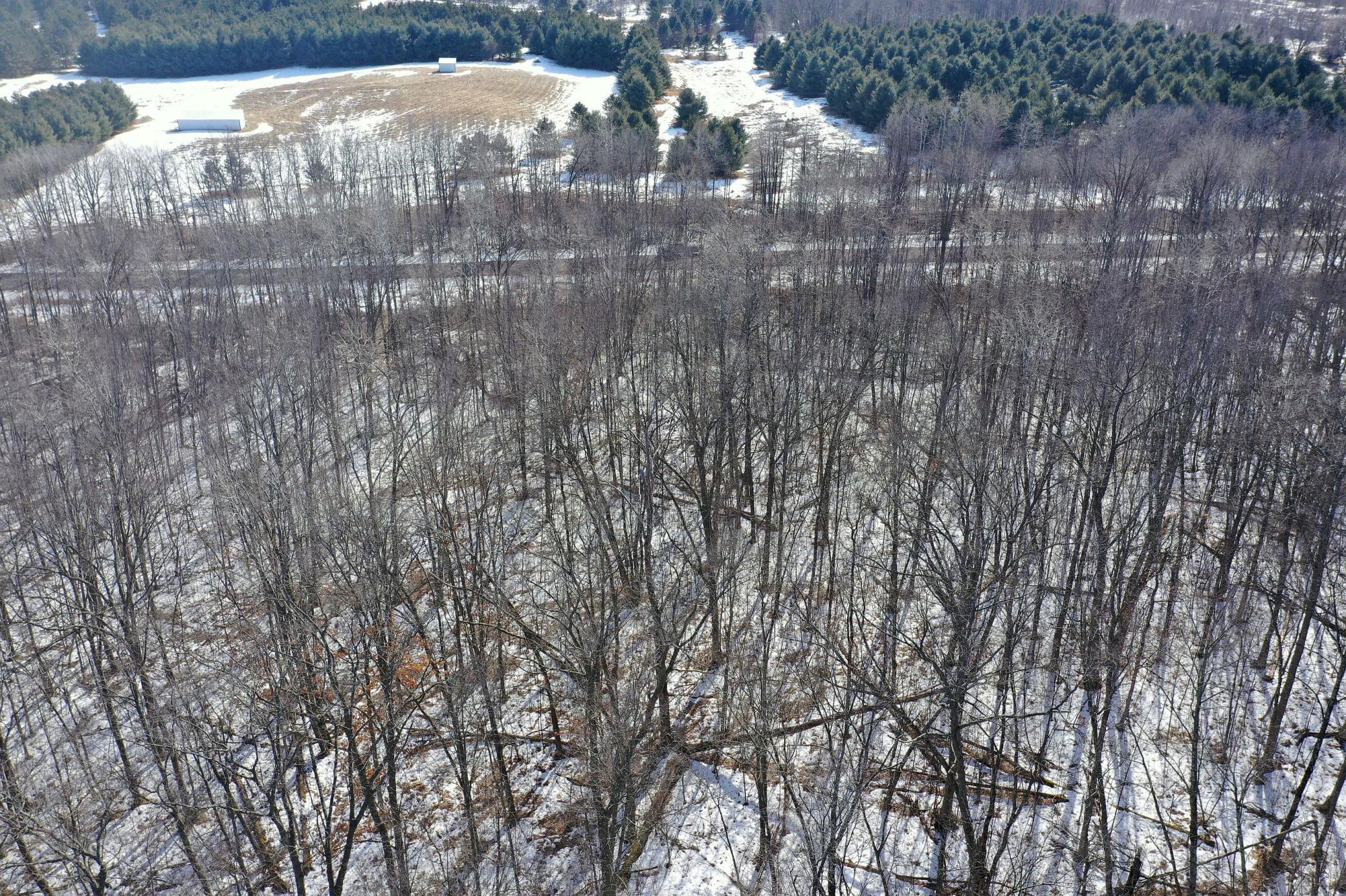 27-xx 11th Avenue Chetek, WI 54728 - Photo 22 of 25