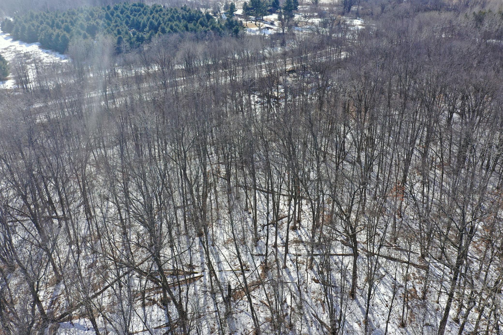 27-xx 11th Avenue Chetek, WI 54728 - Photo 23 of 25