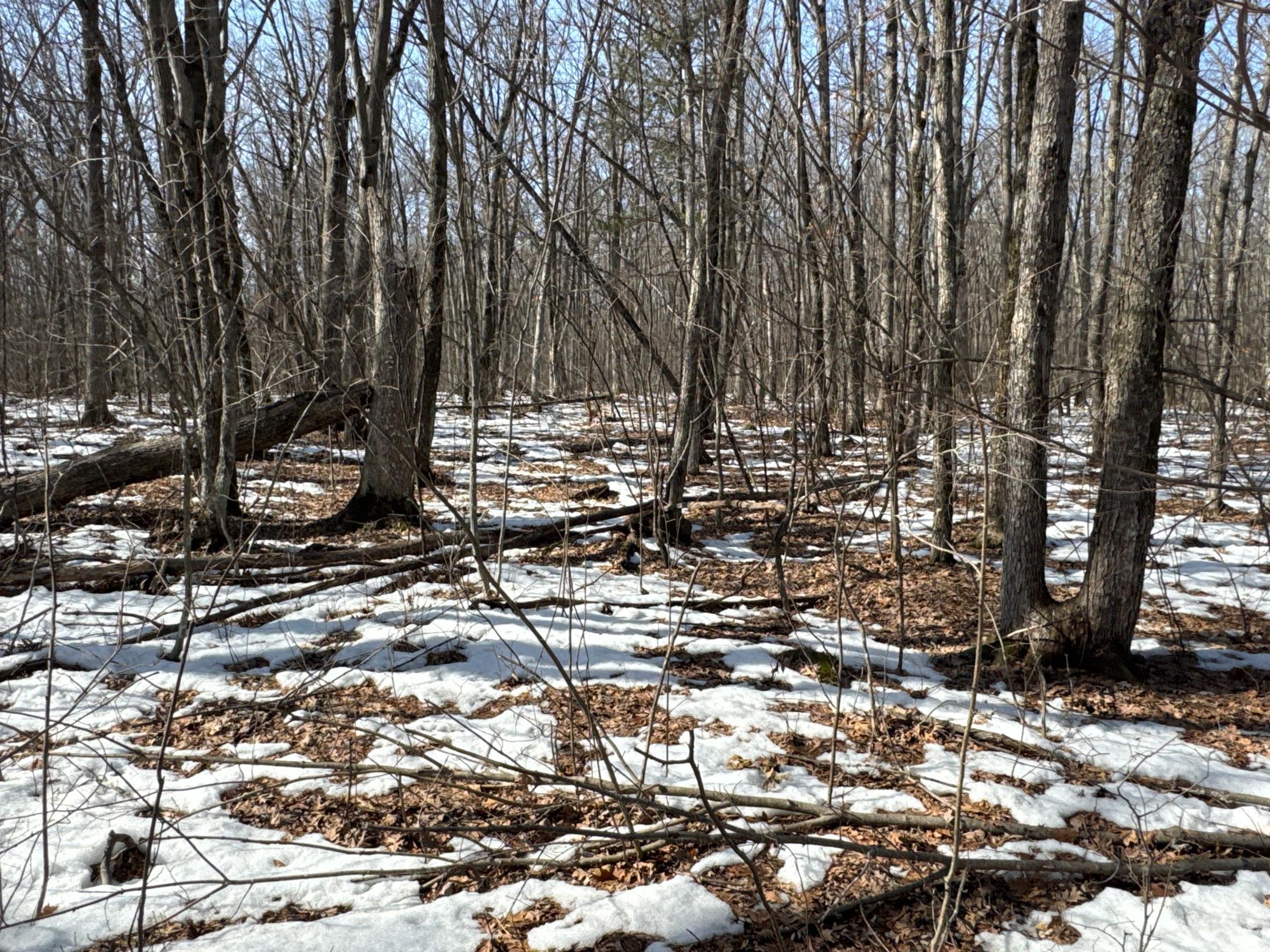 27-xx 11th Avenue Chetek, WI 54728 - Photo 3 of 25