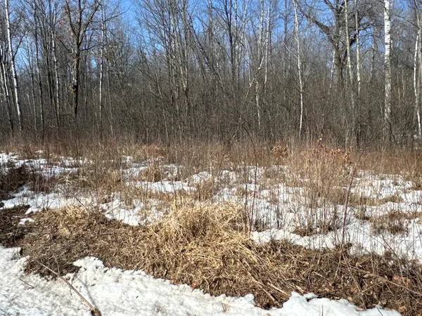 $70,000 | 27-xx 11th Avenue, Chetek, WI 54728