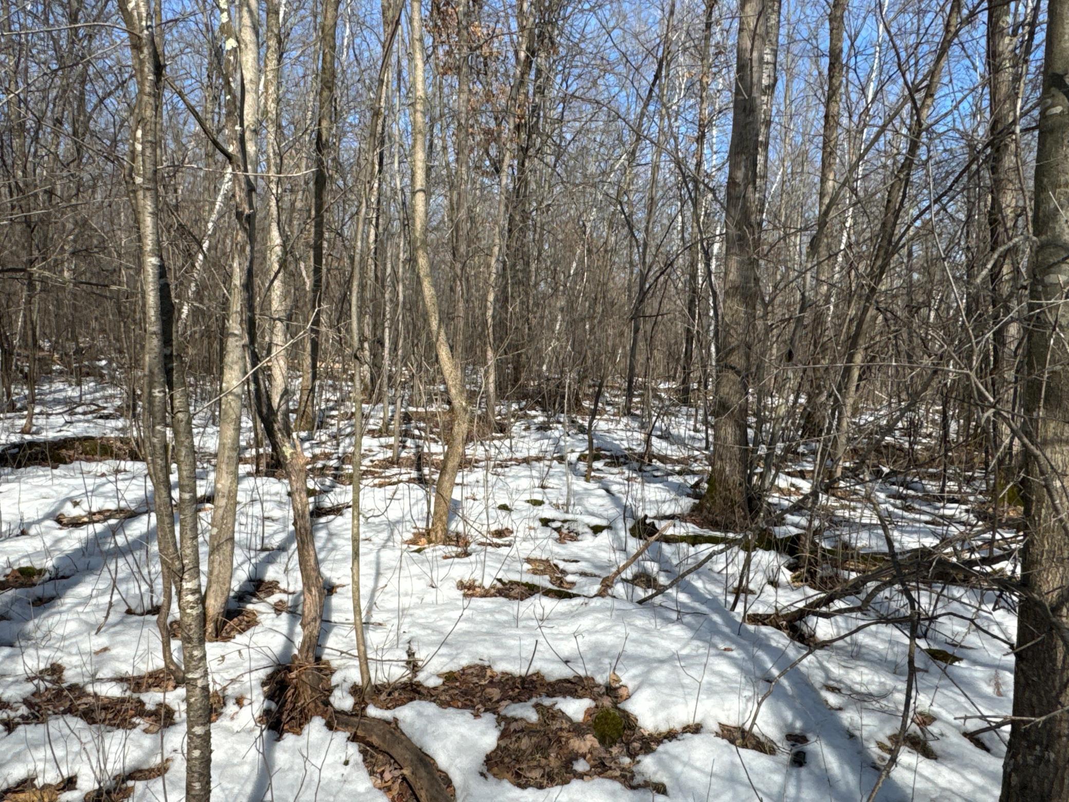 27-xx 11th Avenue Chetek, WI 54728 - Photo 7 of 25