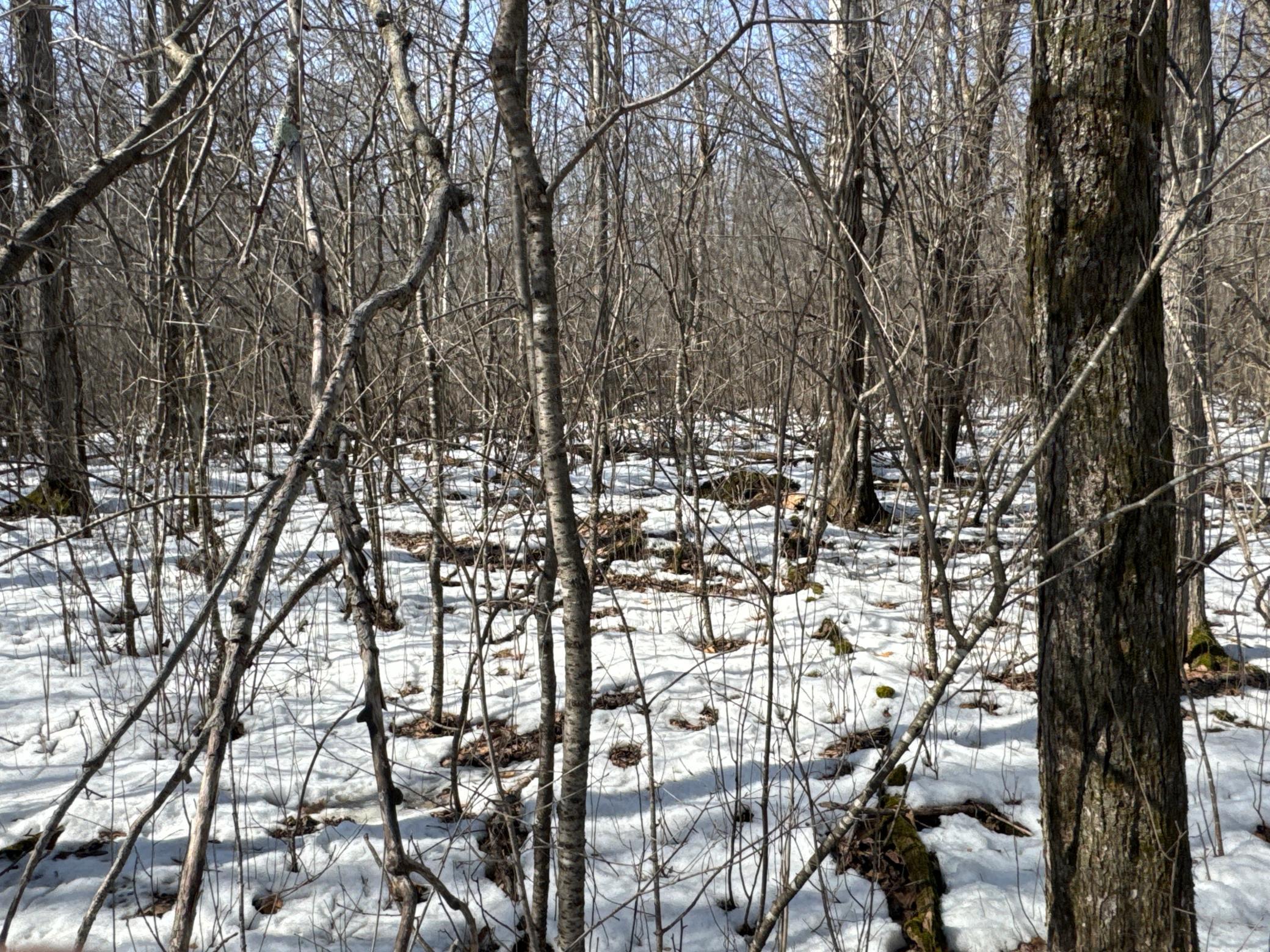 27-xx 11th Avenue Chetek, WI 54728 - Photo 8 of 25