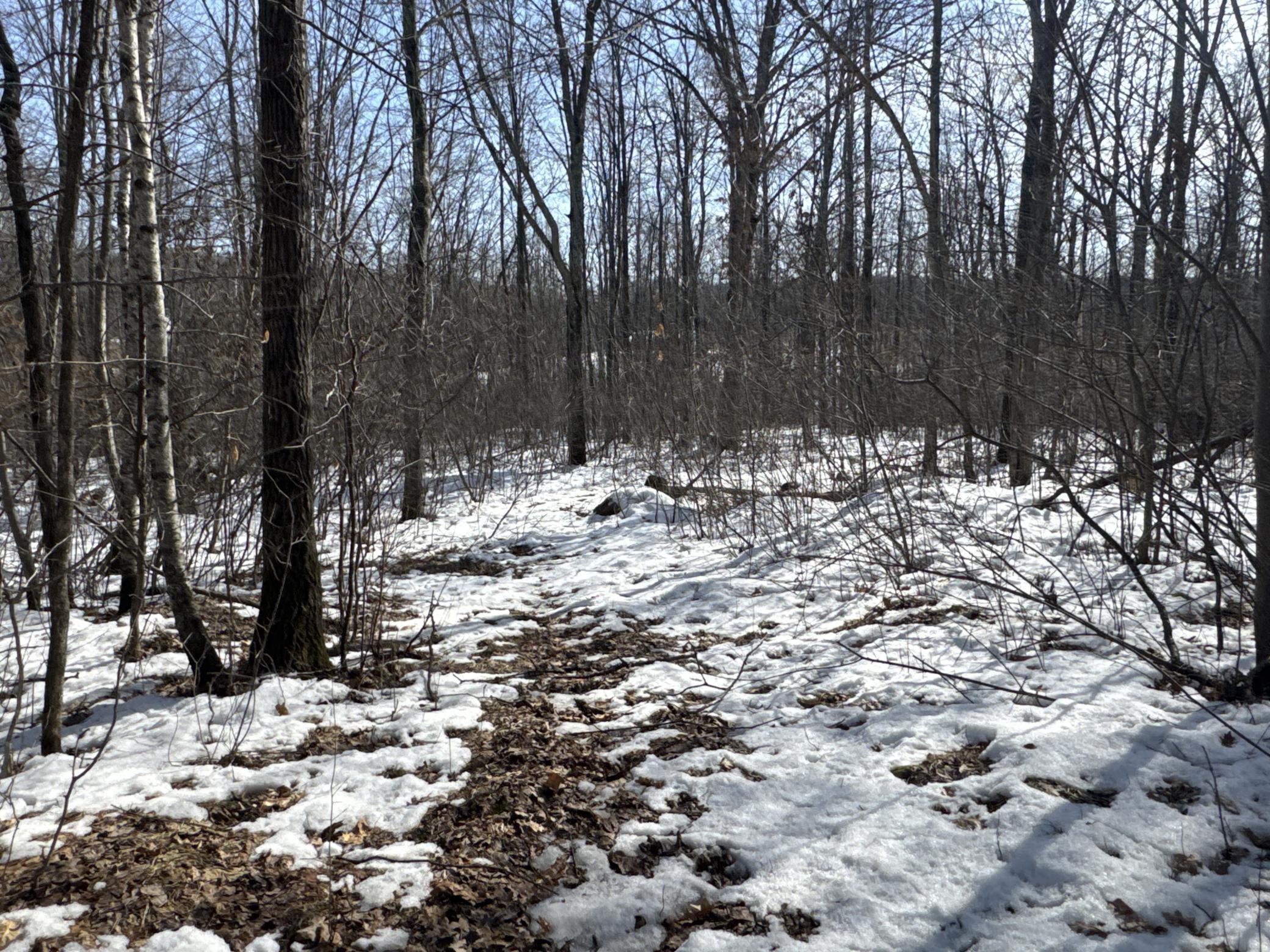 27-xx 11th Avenue Chetek, WI 54728 - Photo 9 of 25