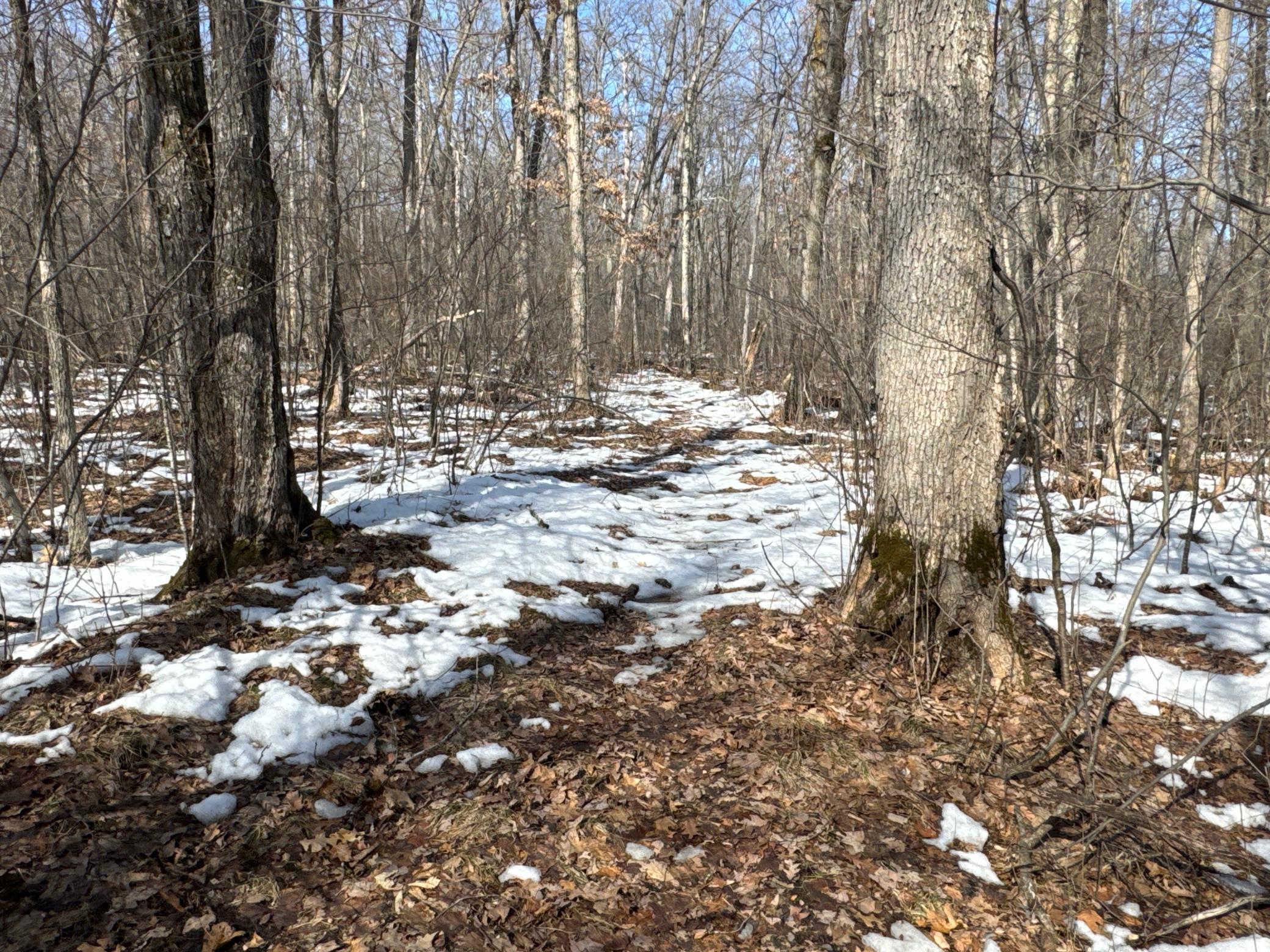 27-xx 11th Avenue Chetek, WI 54728 - Photo 10 of 25