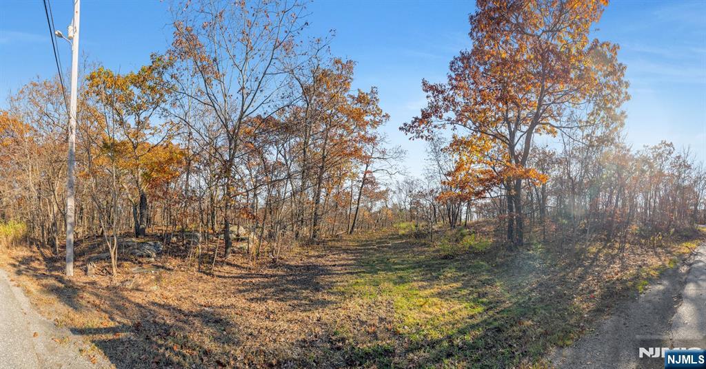 12 Breakneck Road Vernon, NJ 07462 - Photo 2 of 17 a view of yard