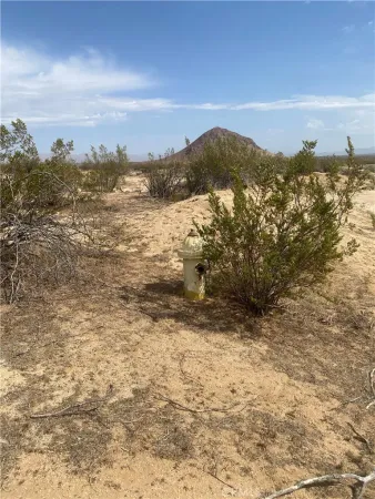 a black and white photo of a picture