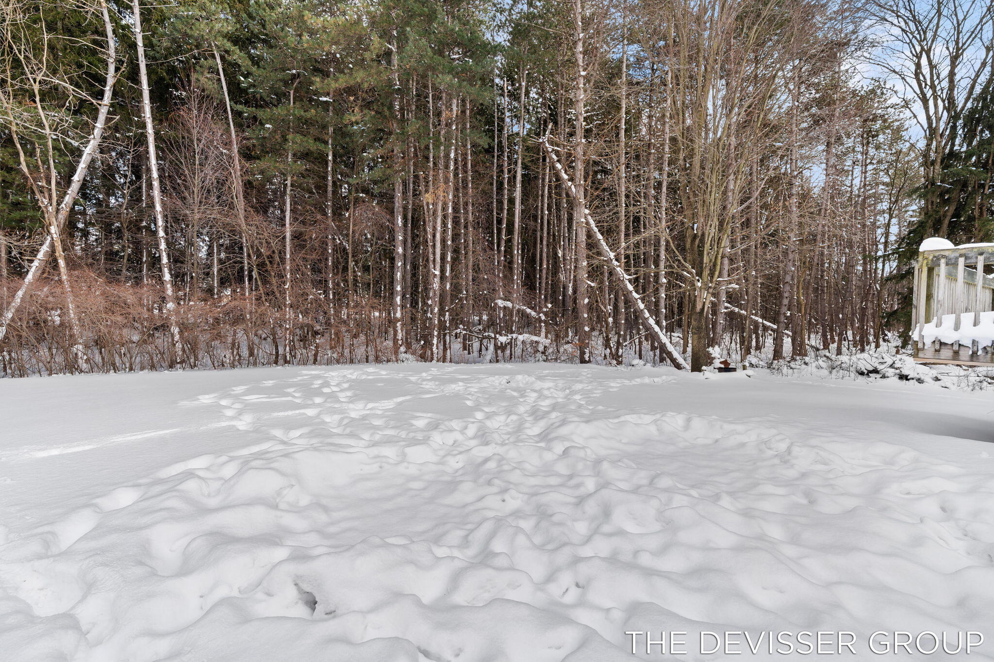 4185 24th Street Dorr, MI 49323 - Photo 45 of 58 44-web-or-mls-43