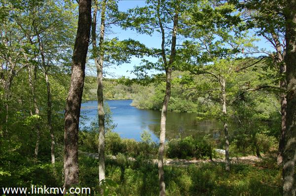 36 Stonebridge Road Vineyard Haven, MA 02568 - Photo 2 of 13 Gallery Image 2
