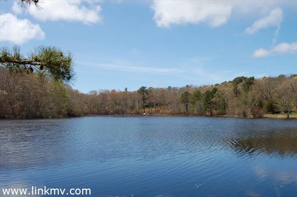 36 Stonebridge Road Vineyard Haven, MA 02568 - Photo 13 of 13 Gallery Image 13