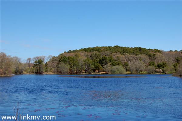 36 Stonebridge Road Vineyard Haven, MA 02568 - Photo 4 of 13 Gallery Image 4