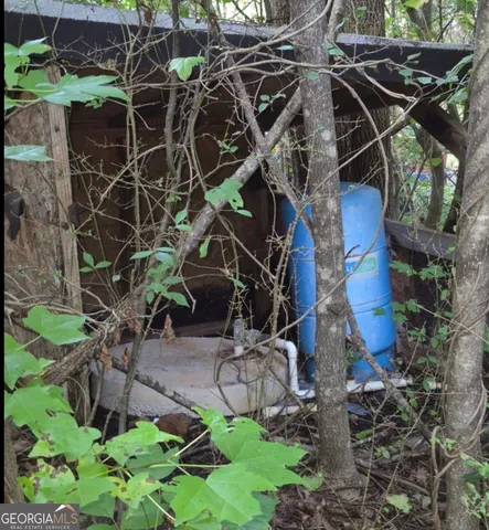 a view of a forest with a tree
