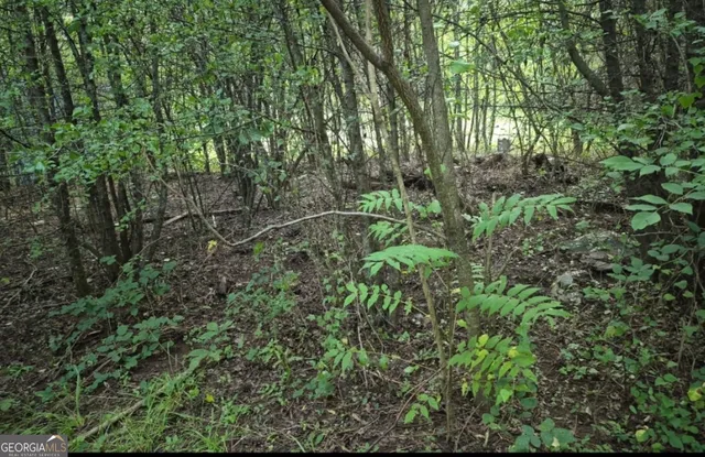 $27,500 | 100-152 Winding Lane, Locust Grove, GA 30248