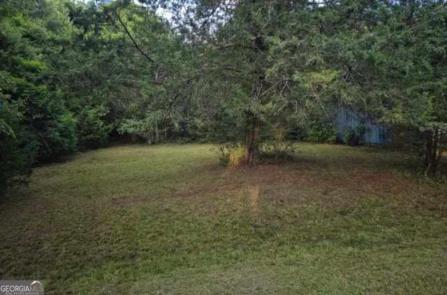a view of a field with a trees