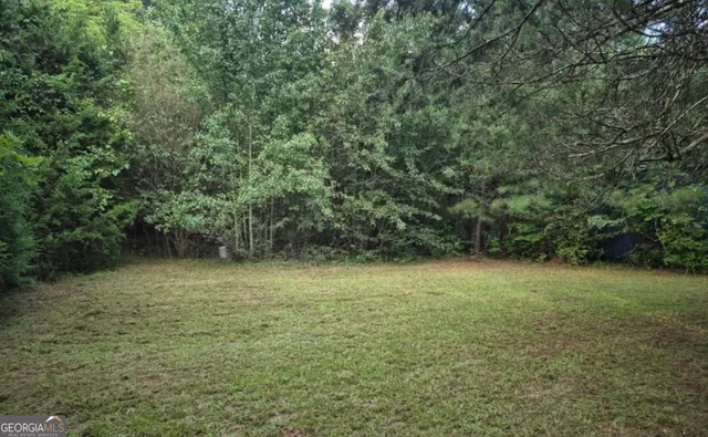 a view of a lush green forest