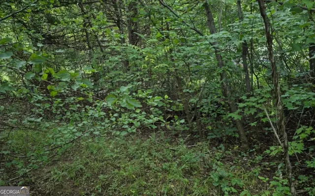 a backyard of a house with a trees