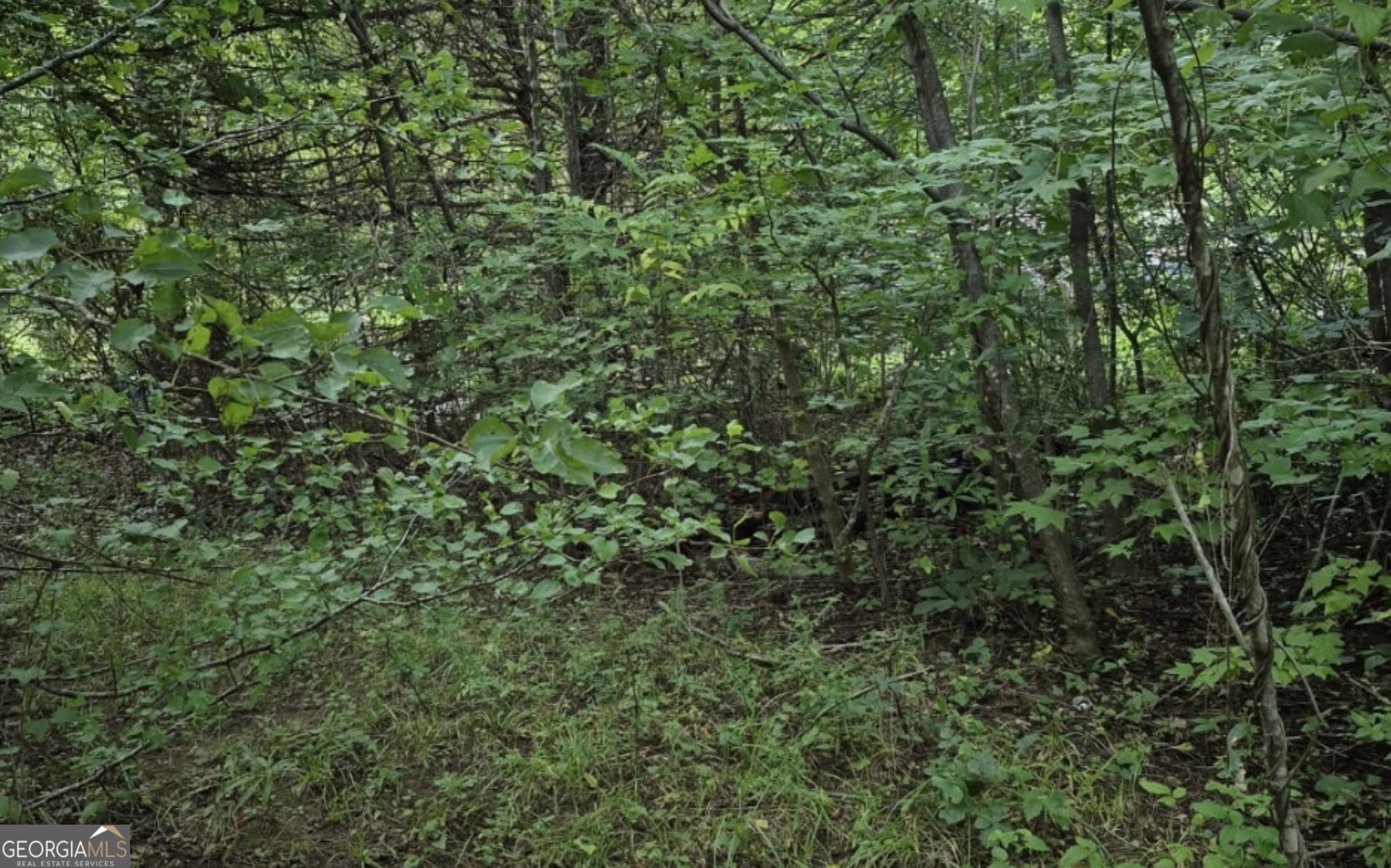 100-152 Winding Lane Locust Grove, GA 30248 - Photo 9 of 12 a view of a lush green forest