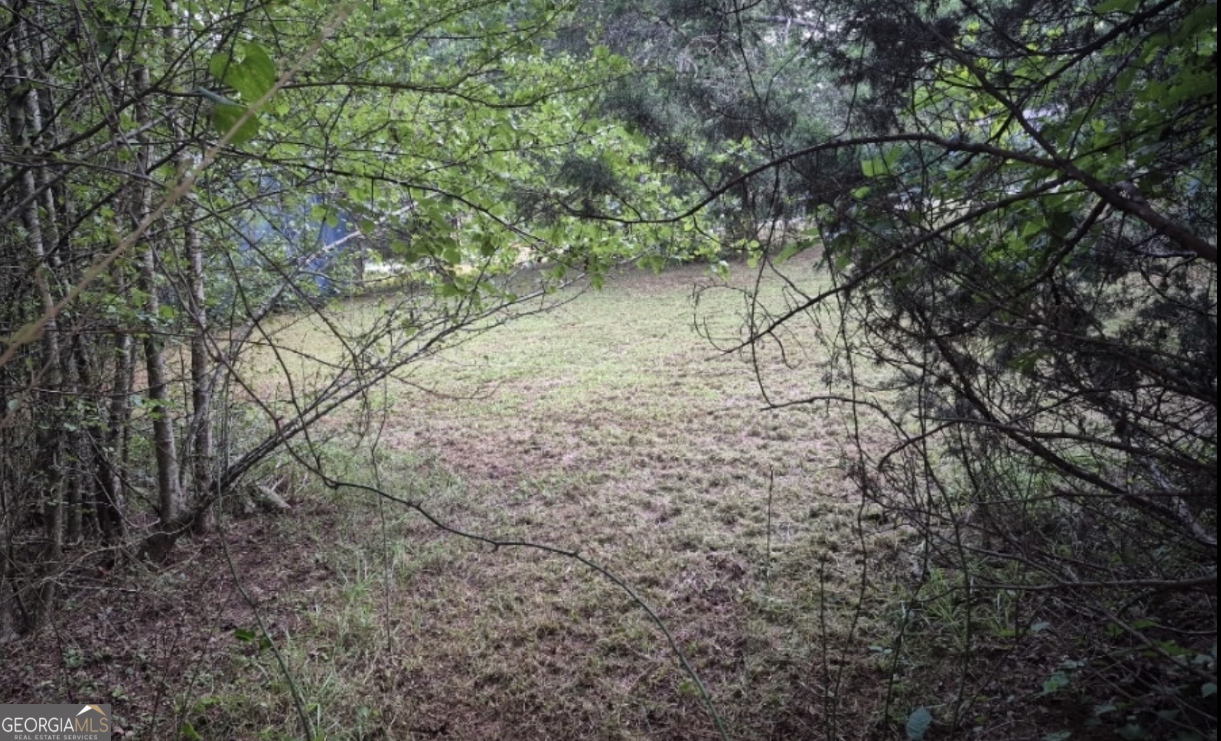 100-152 Winding Lane Locust Grove, GA 30248 - Photo 10 of 12 a backyard of a house with a trees