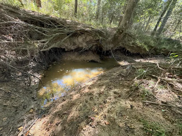 $671,160 | Tdb Delaware Avenue, McComb, MS 39648