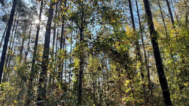 $671,160 | Tdb Delaware Avenue, McComb, MS 39648