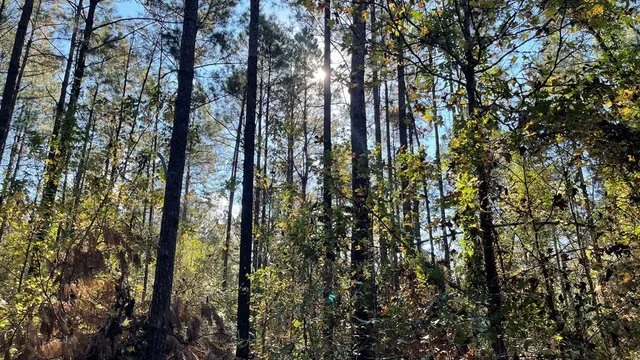 $671,160 | Tdb Delaware Avenue, McComb, MS 39648