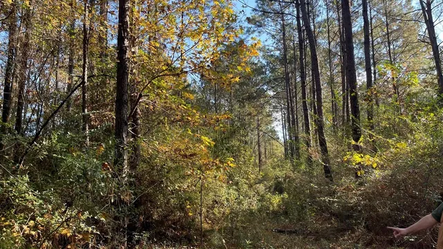 $671,160 | Tdb Delaware Avenue, McComb, MS 39648