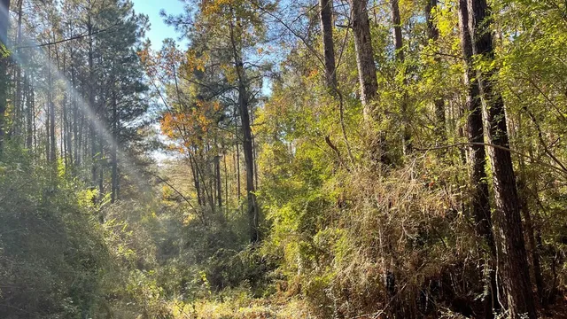 $671,160 | Tdb Delaware Avenue, McComb, MS 39648