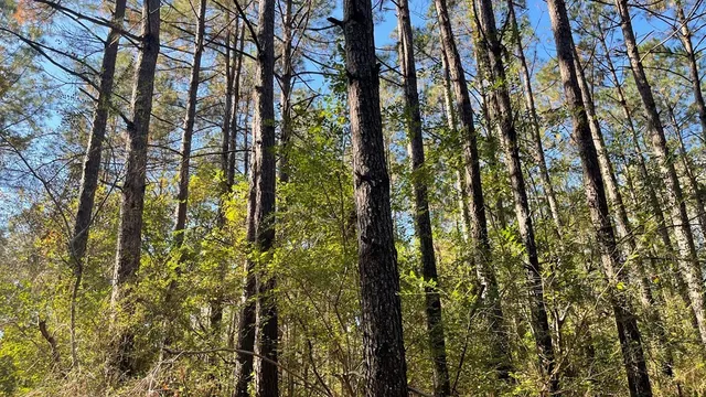 $671,160 | Tdb Delaware Avenue, McComb, MS 39648