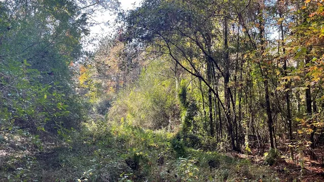 $671,160 | Tdb Delaware Avenue, McComb, MS 39648