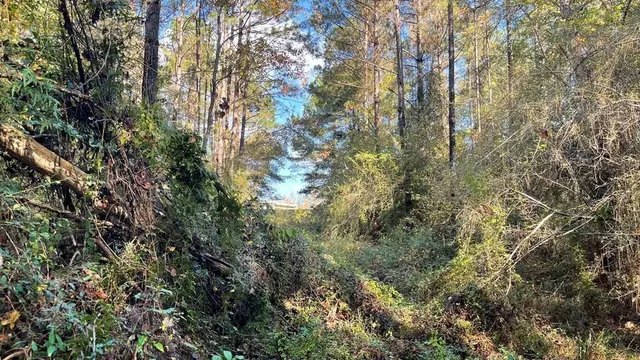 $671,160 | Tdb Delaware Avenue, McComb, MS 39648