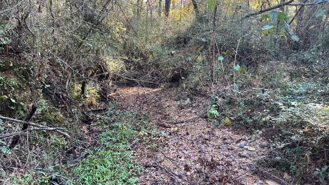 $671,160 | Tdb Delaware Avenue, McComb, MS 39648