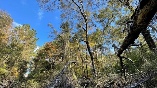 $671,160 | Tdb Delaware Avenue, McComb, MS 39648