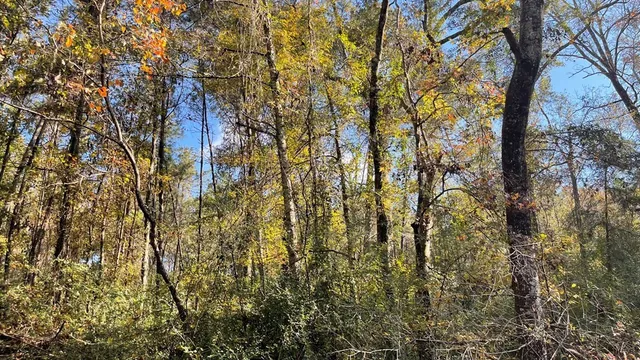 $671,160 | Tdb Delaware Avenue, McComb, MS 39648