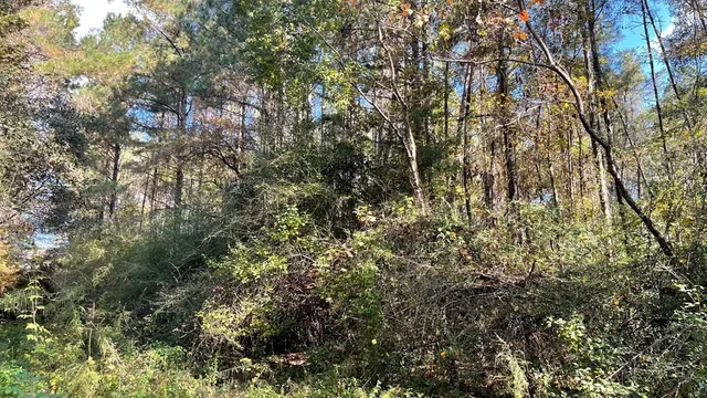 $671,160 | Tdb Delaware Avenue, McComb, MS 39648