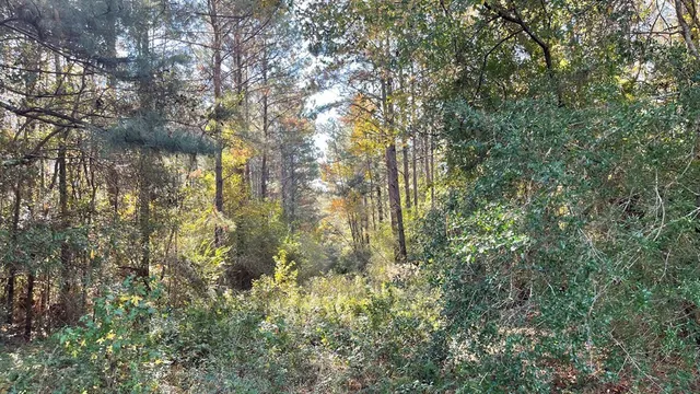 $671,160 | Tdb Delaware Avenue, McComb, MS 39648