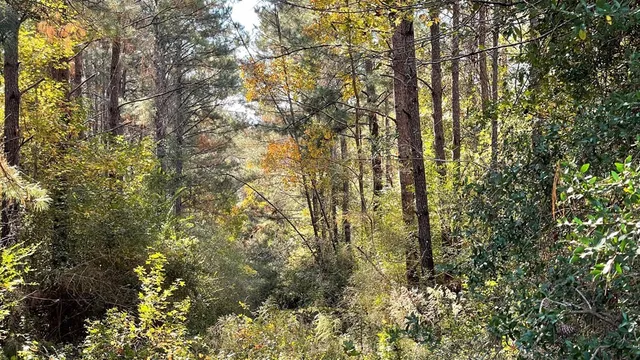 $671,160 | Tdb Delaware Avenue, McComb, MS 39648